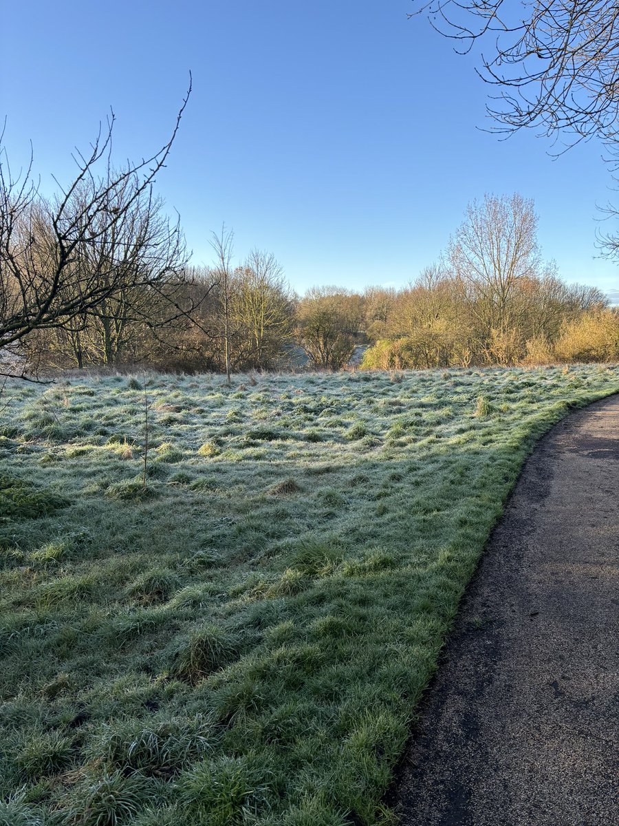 When you go for a morning walk to start the day the best conditions are cold but clear skies, am I wrong?