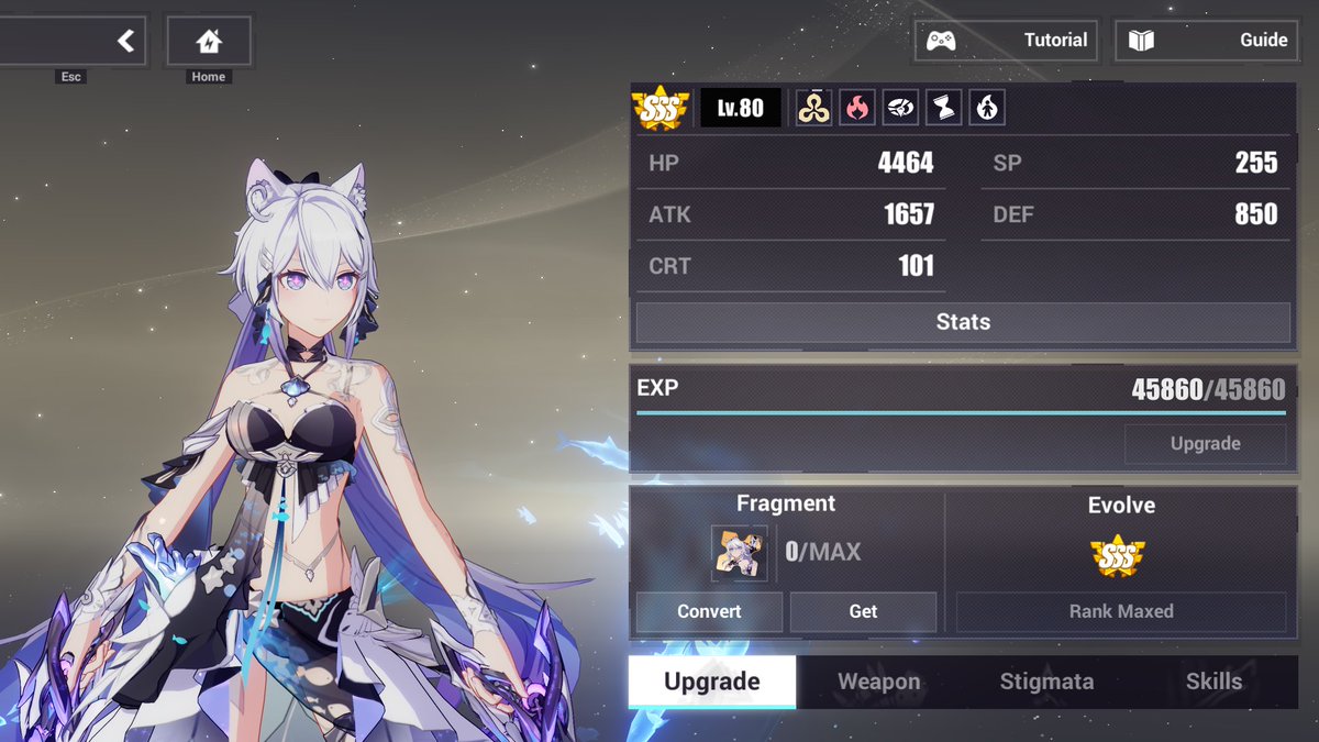 EIToucan's tweet photo. finally maxed out meow meow https://t.co/oWqgrsU9Xk