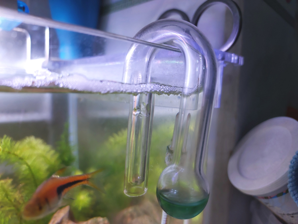 Tonbi_ko's tweet photo. Blog更新： 発酵式CO2添加を科学的に考える② https://t.co/PEalajeJA1 https://t.co/rVQzbaZNuE