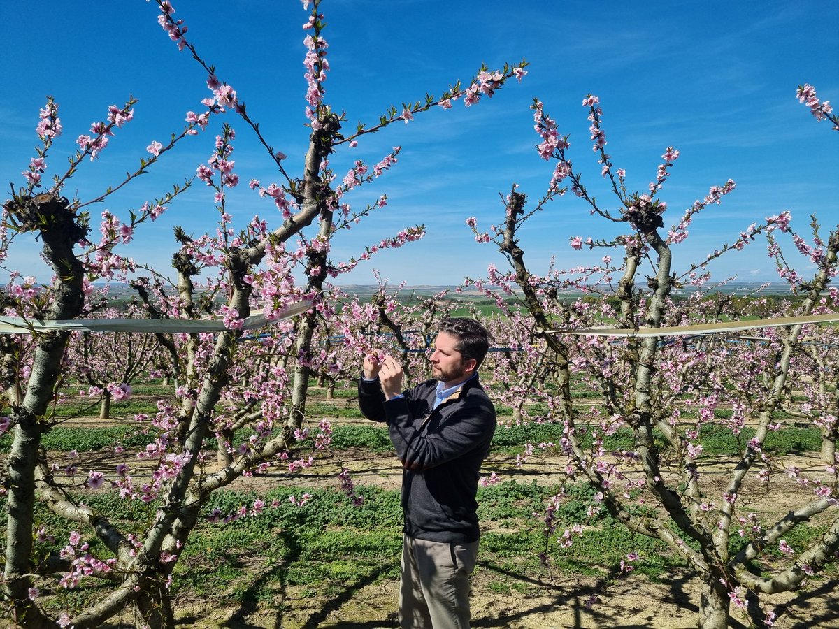 Fernando López de Arce tweet media