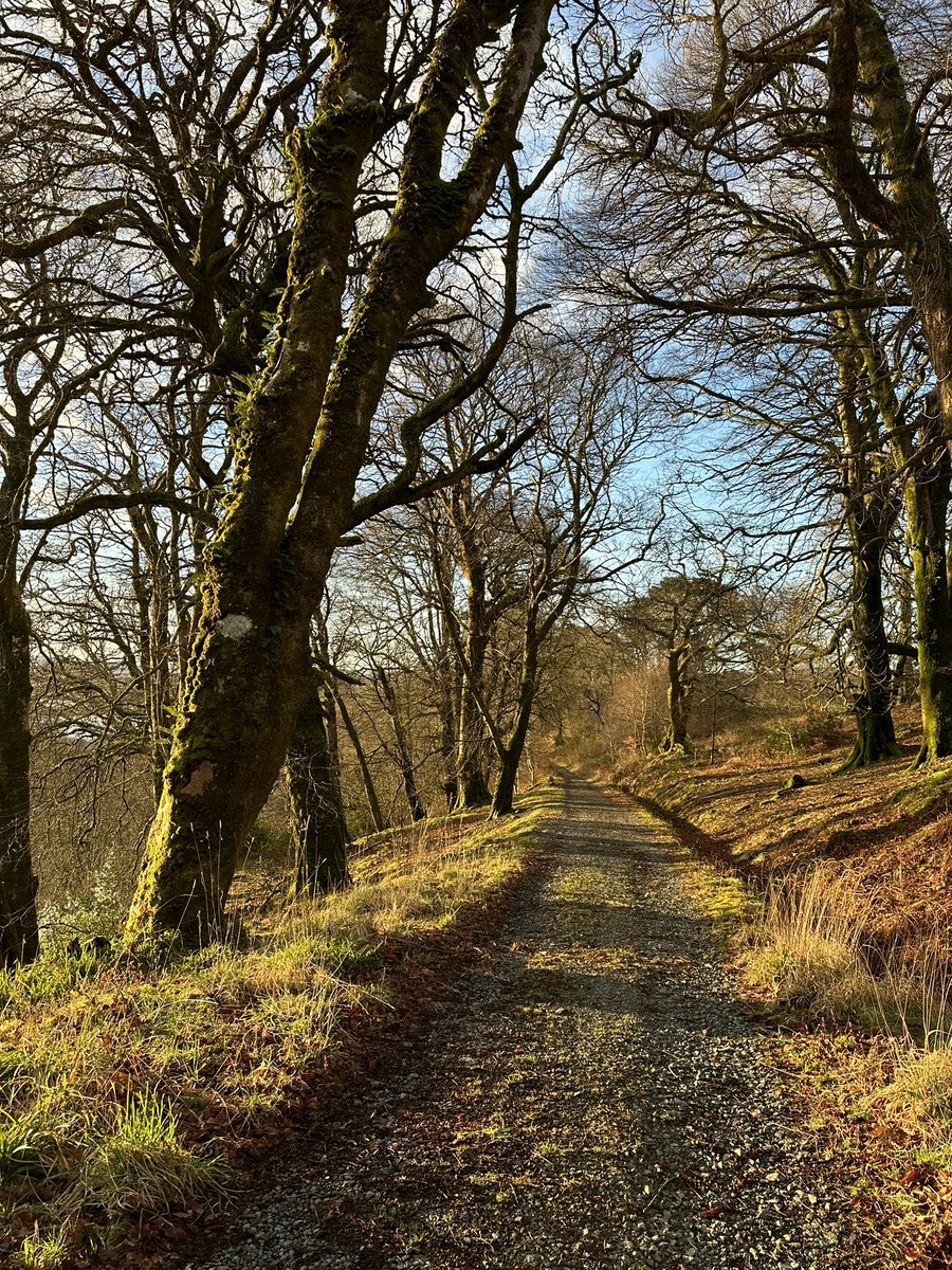 pennygatemull's tweet photo. Perfect spring morning for a walk to enjoy an early morning coffee outdoors.
#favouritebench #localwalks #mull https://t.co/NBbqbHGums