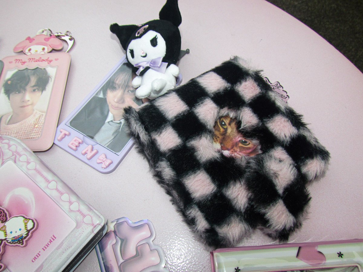 leon peek-a-boo 🐈