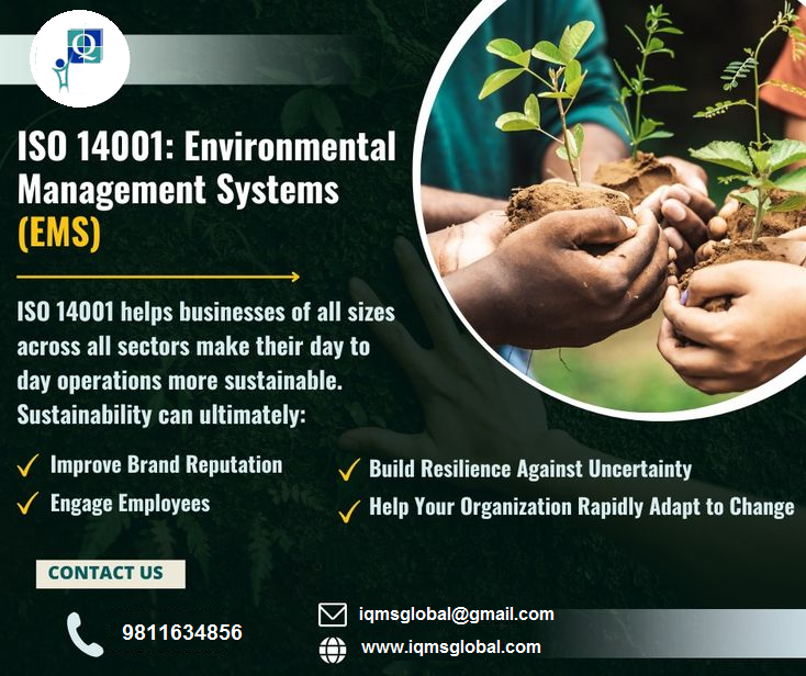 IQMSGlobal's tweet photo. Get more information about ISO 14001 : 2015
https://t.co/stIgdkCThv
#ISO14001:2015
#EnvironmentManagementSystem
#EMS https://t.co/ii3DysXjSv
