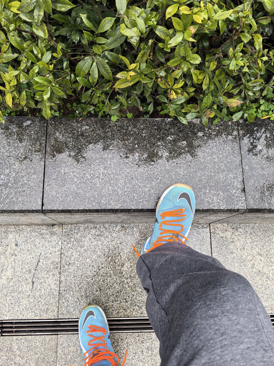 🐾堯小柴 (@pla_silence) on Twitter photo 