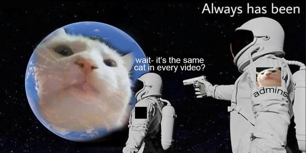 VibingCatSolana's tweet photo. The name’s Vibin.
Cat still Vibin. 
$VCAT https://t.co/pjhrzLweKW