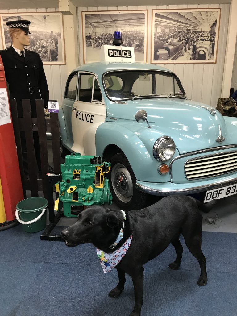 🚌🐾 Calling all dog lovers and bus enthusiasts! Discover the paw-some experience Oak and I had at the Oxford Bus Museum!  #DogFriendly #BusEnthusiasts #PawsAndHistory oxfordcitydog.com/oxford-buss-mu… <a href="/oxfordbusmuseum/">Oxford Bus Museum</a>