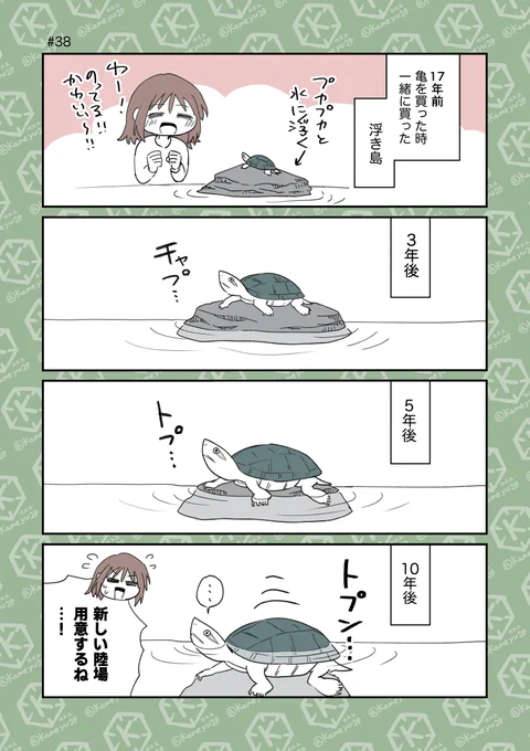 浮き島と成長
#4コマ漫画 