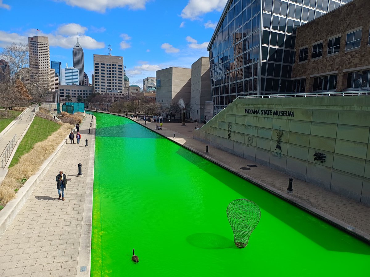 A subtle reminder, it's St. patrick's Day. ☘️🇮🇪💚🌈🪙
#nofilter #indianapolis #StPatricksDay2024