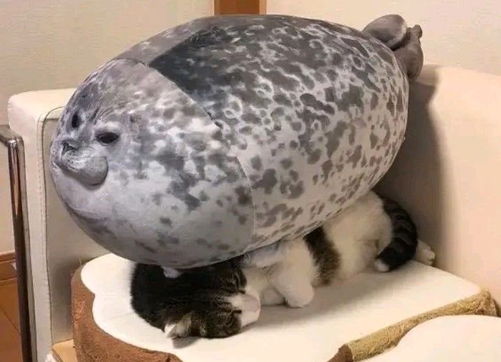 What the hell man this is disgusting