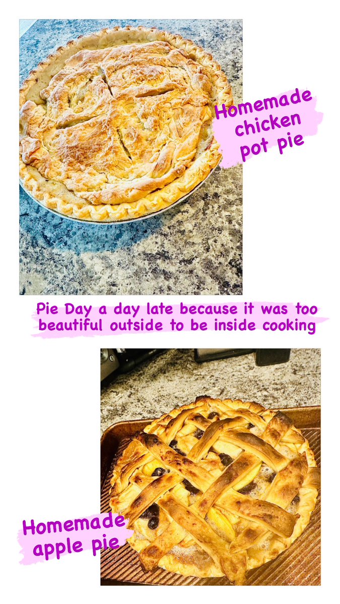 Pie Day cooking … we love cooking from scratch because we control the ingredients 

#PieDay #Pie #ApplePie #ChickenPotPie #HomeCooking #Homemade #CookingAtHome #EatRealFood #RealIngredients #JustIngredients #WholeFoods #CleanEating #EatClean #HolisticNutrition #HolisticMom