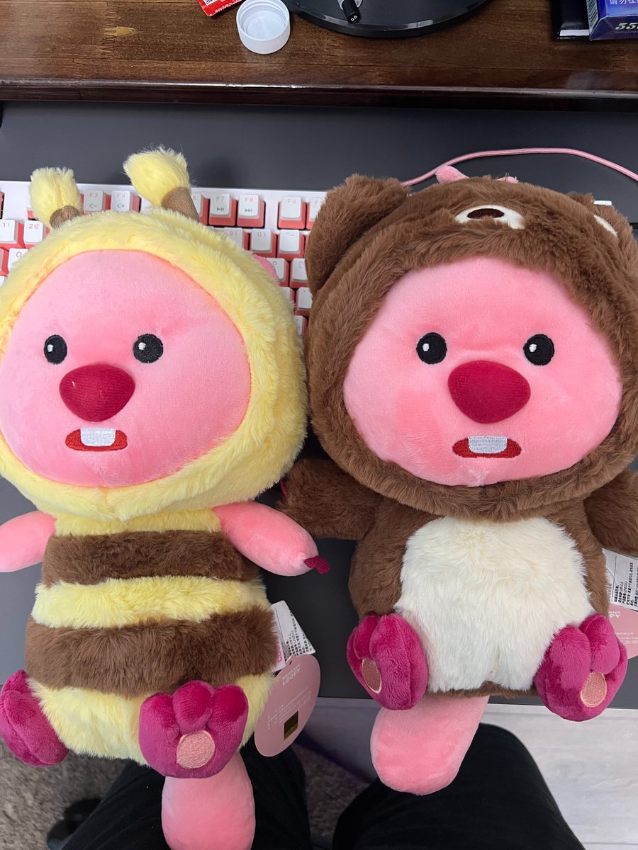 exParachute's tweet photo. @LOOPY_SOL XfT6Yr6t911GaPEKMFeCkbWfSusz7swaP4EEqQL5iEi @sakulalalalalal  we love loopy princess! I'm a huge fan! https://t.co/a7UvJjeuBh