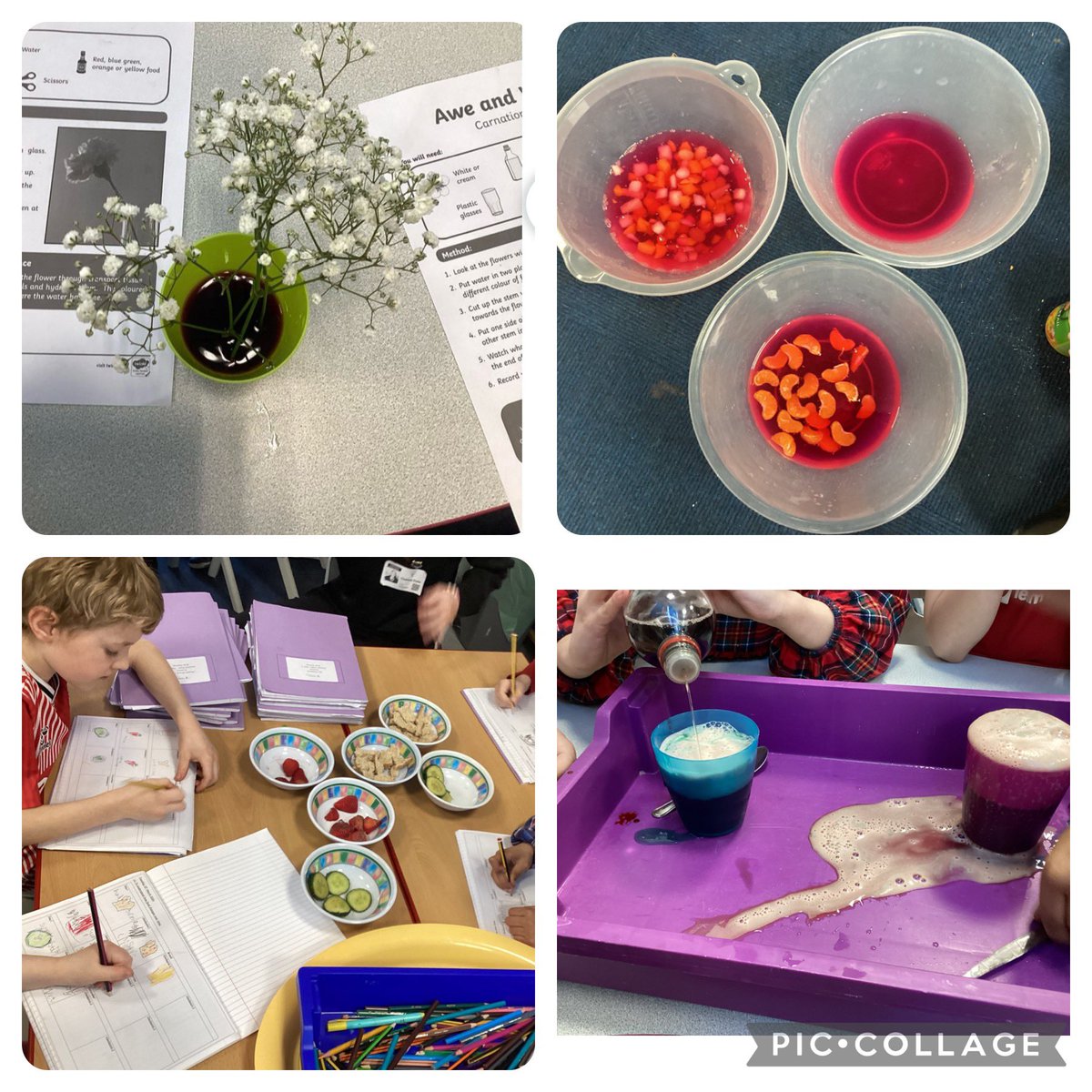 Science week was a blast! We had a great time exploring our theme of food and how it changed over time.🔬🧪@GosbertonAcad @h_ingamells #ScienceWeek