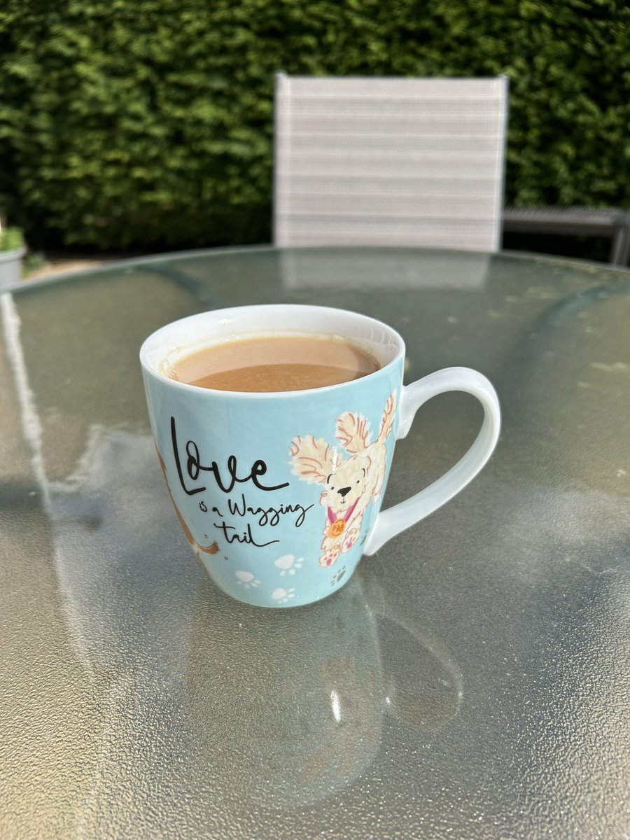 What an absolutely beautiful spring day it is over here in the shire ❤️ if you’re a fully grown adult then getting to peg the washing out is an absolute delight 🤣 when the weather is nice it brings get up and go ☀️ now time for a little cuppa ❤️