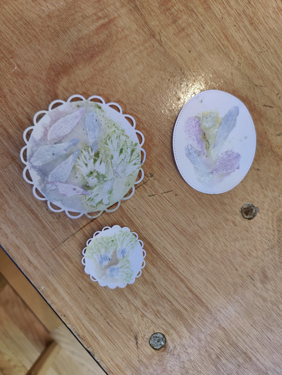 EggSeeds's tweet photo. Get creative with free nature based craft experience down at Turner House gallery, Penarth until 3pm https://t.co/IBrfXHCV7D