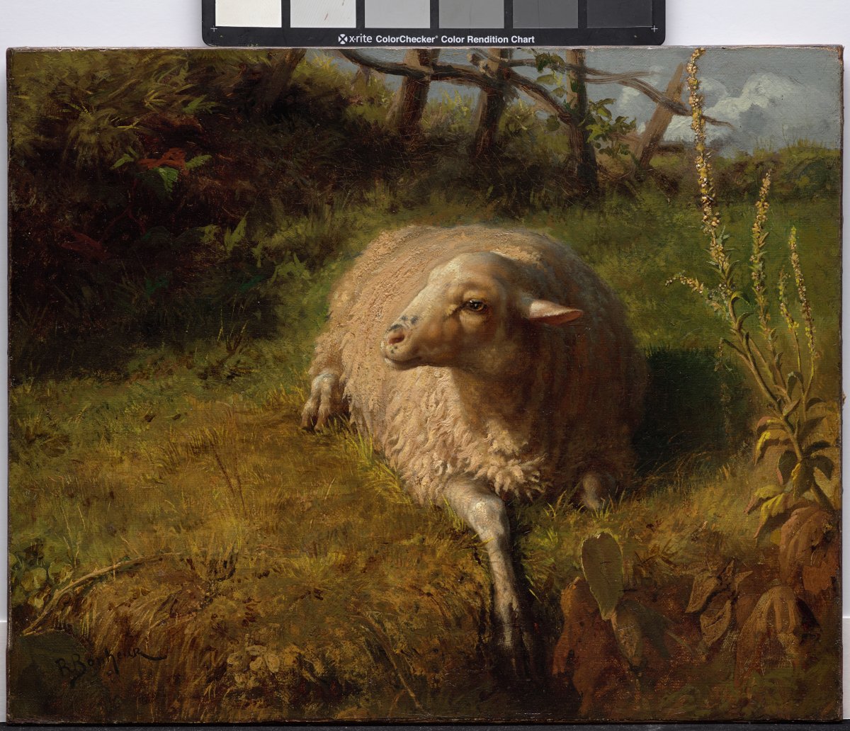 A Sheep at Rest, last ½ of C19th, by #RosaBonheur (French, 1822-99) who was born #otd, Mar 16. Held at @DallasMuseumArt, dma.org/art/collection… #artherstory #womenartists