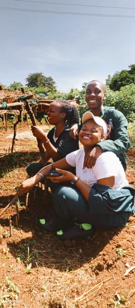 KUASAWEB's tweet photo. The love, smile and co-operation of kyambogo University Agriculture students association during weekend association activities at the demonstration garden 🔥.@demi_farm @ruforumsec @FrankTumwebazek @kyambogou https://t.co/lSu80aqLyg
