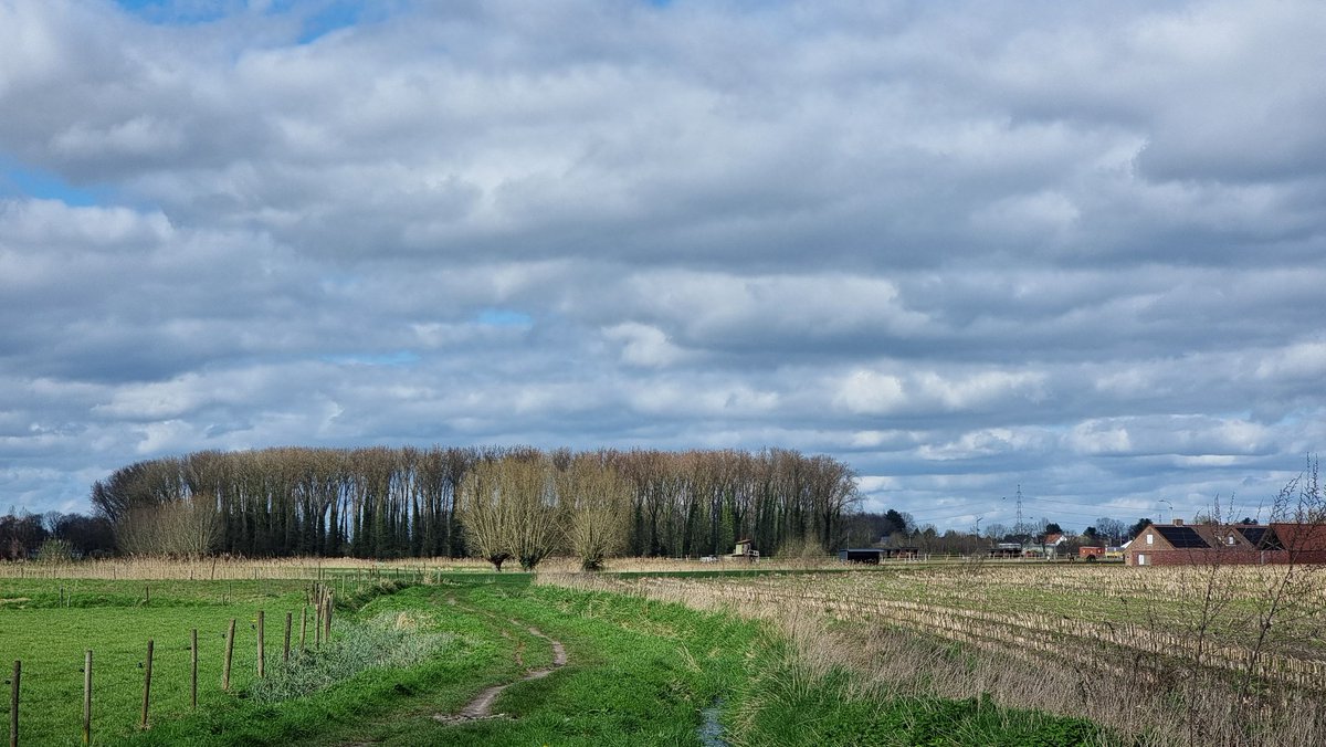 Harelbeke om 14u20 #vrtweer Inwoners van Harelbeke bereiden zich voor #E3Harelbeke