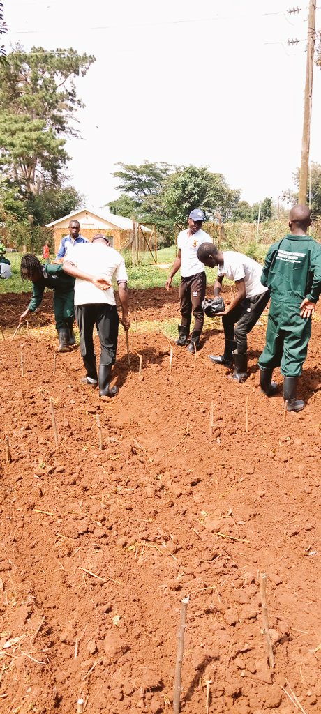 KYAMBOGO UNIVERSITY AGRICULTURE STDTS ASSOCIATION (@kuasaweb) on Twitter photo The love, smile and co-operation of kyambogo University Agriculture students association during weekend association activities at the demonstration garden š„.<a href="/demi_farm/">Demi Farms</a> <a href="/ruforumsec/">RUFORUM</a> <a href="/FrankTumwebazek/">Frank K Tumwebaze,MP: Isaiah 41: 11</a> <a href="/kyambogou/">KYAMBOGO UNIVERSITY</a> The love, smile and co-operation of kyambogo University Agriculture students association during weekend association activities at the demonstration garden š„.<a href="/demi_farm/">Demi Farms</a> <a href="/ruforumsec/">RUFORUM</a> <a href="/FrankTumwebazek/">Frank K Tumwebaze,MP: Isaiah 41: 11</a> <a href="/kyambogou/">KYAMBOGO UNIVERSITY</a>