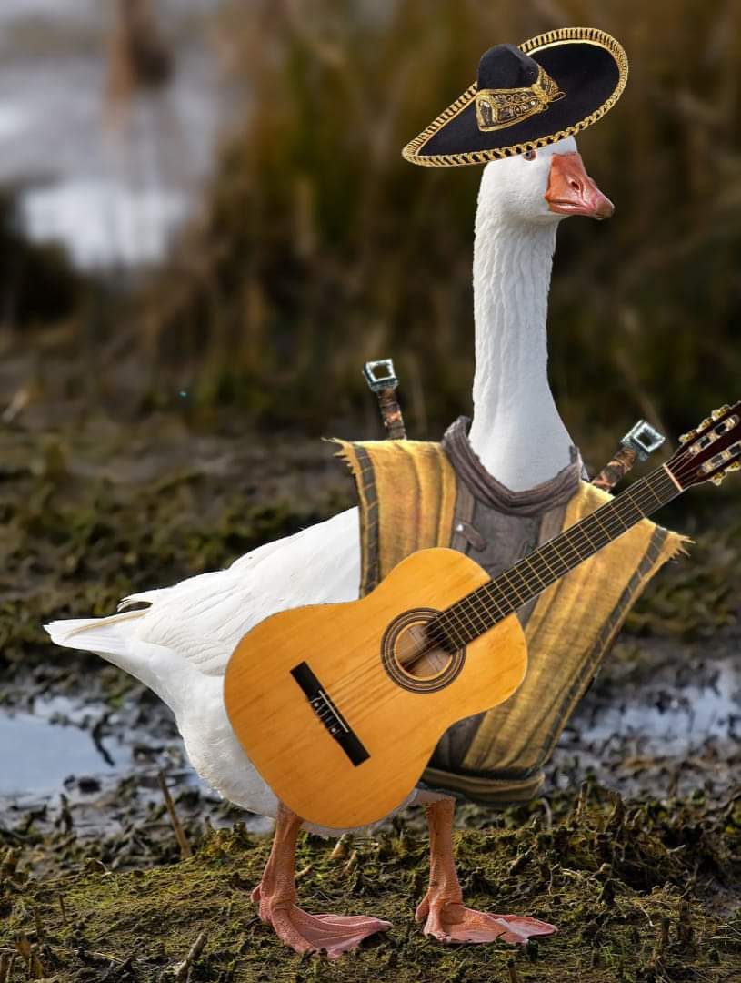 Alienauta 🛸 tweet media