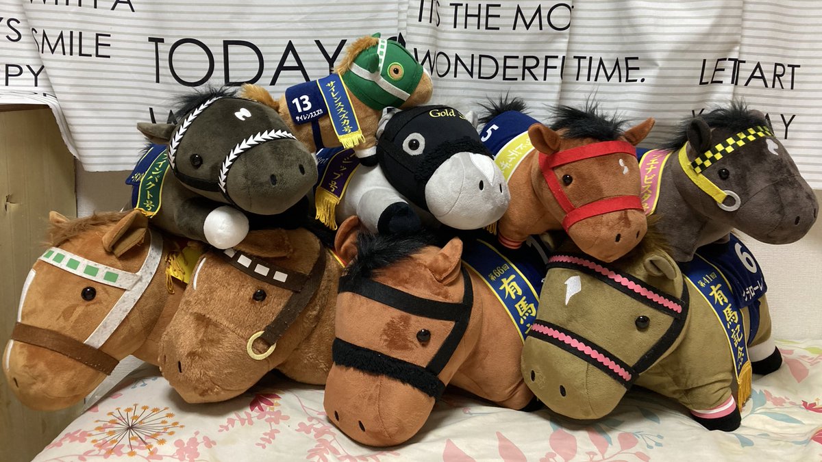 civic_64's tweet photo. ミニカーコレクターのみなさん、
ミニカー以外に集めてる物ってありますか？
私は馬のぬいぐるみを集めてます🐎
(競馬の事はさっぱりわかりませんが…)
#サラブレッドコレクション
#ミニカー
#収集癖 https://t.co/Umqdak5Prd