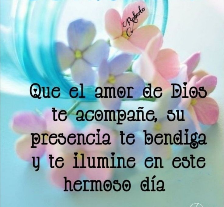 Bendecido sábado, para todas ustedes 🙏🏻🫂🌺🌷💐🌻😃