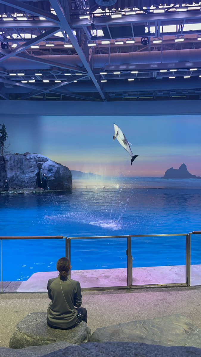 classicallyamy's tweet image. im so lucky