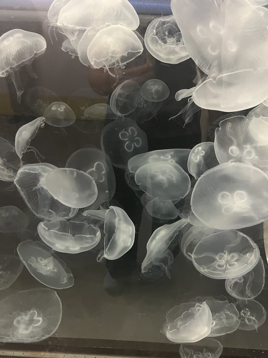 classicallyamy's tweet image. im so lucky