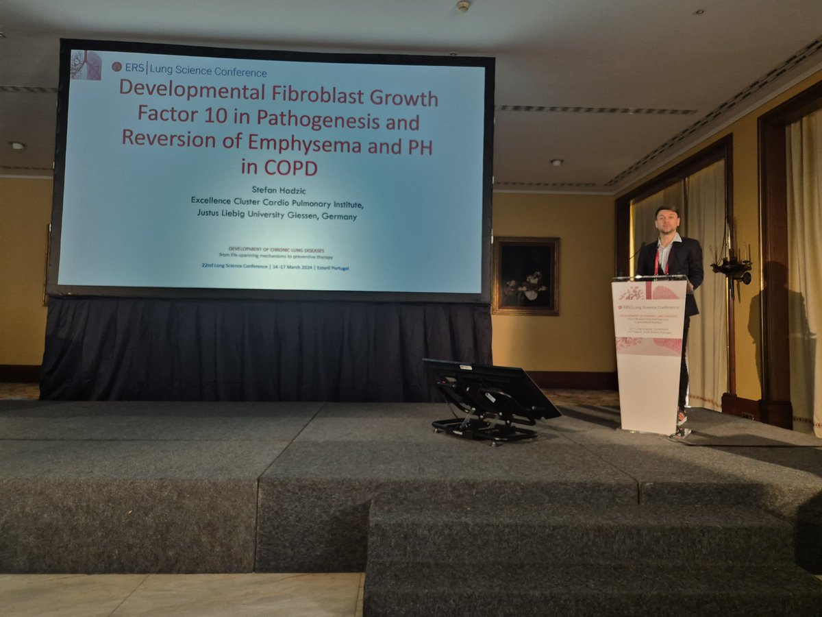 Dr. Stefan Hadžić @hstefan991 presenting his research on #FGF signaling in #emphysema, in the @EarlyCareerERS Young Investigator Session at the @EuroRespSoc #LSC2024 in #Estoril 🇵🇹 today.