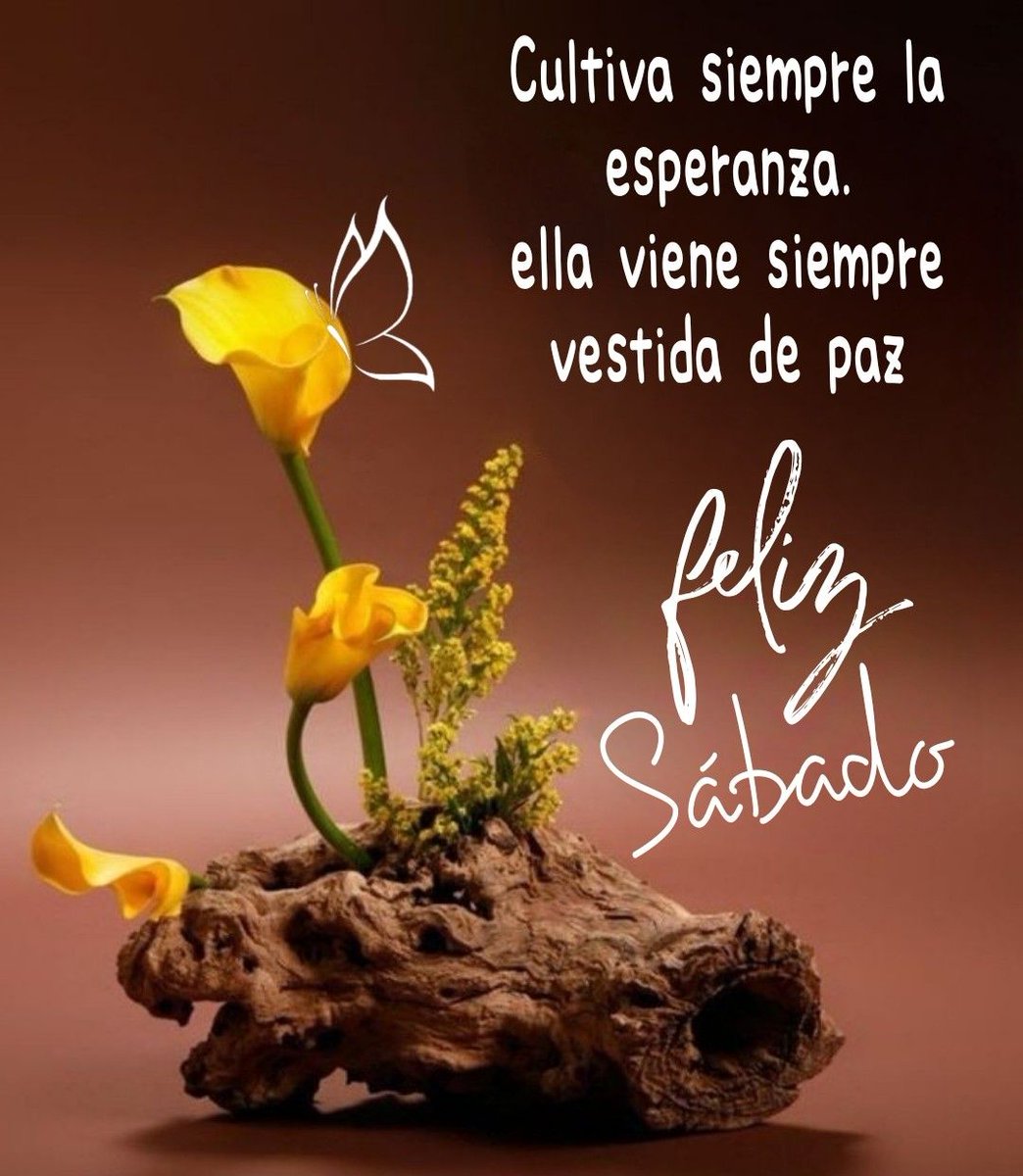Cada gran sueño comienza con un soñador. Recuerda siempre, tú tienes en tu interior la fuerza, la paciencia y la pasión para alcanzar las estrellas y cambiar el mundo.
#Esperanza