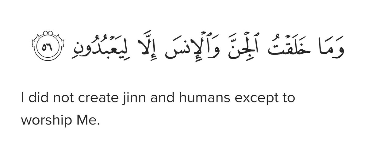 worship-allah (@worship_allah_1) on Twitter photo 