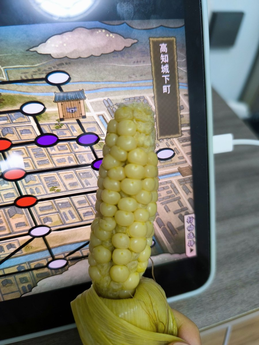 banli0613's tweet photo. 中国雲南省西双版納州の特産品――小さい🌽！
別称は「拇指玉米」，意味は指のように小さいトウモロコシ……そうであるべきだ！
ipadとの対比でわかるよ���に、それは確かに小さいでしょう？しかし、小さいですが、トウモロコシの本味があるよ！そして、その価格ももっと高いですね！ https://t.co/VrN8f6PUps