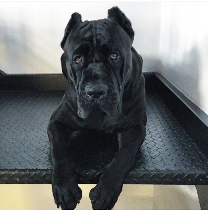 🖤🖤 https://t.co/jhqFtzqcaN