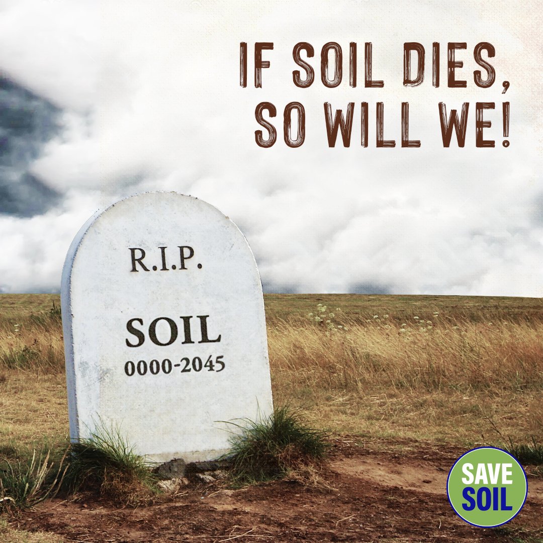 @SadhguruJV @ishafoundation @IndiaToday A very important issue that Media should focus upon! 
Rather than speaking current affairs alone, it's time #Media and #Journalists speak about long term wellbeing. 
Request @IndiaToday to throw #FlashNews on #Soil condition in our country.
#SaveSoil