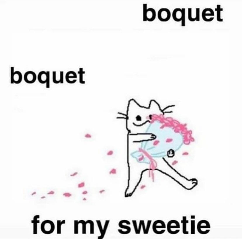 ੈ♡˳ 𝙰𝚕𝚎𝚗𝚊 ! ࿐ྂ (@drinkmexeatme) on Twitter photo 