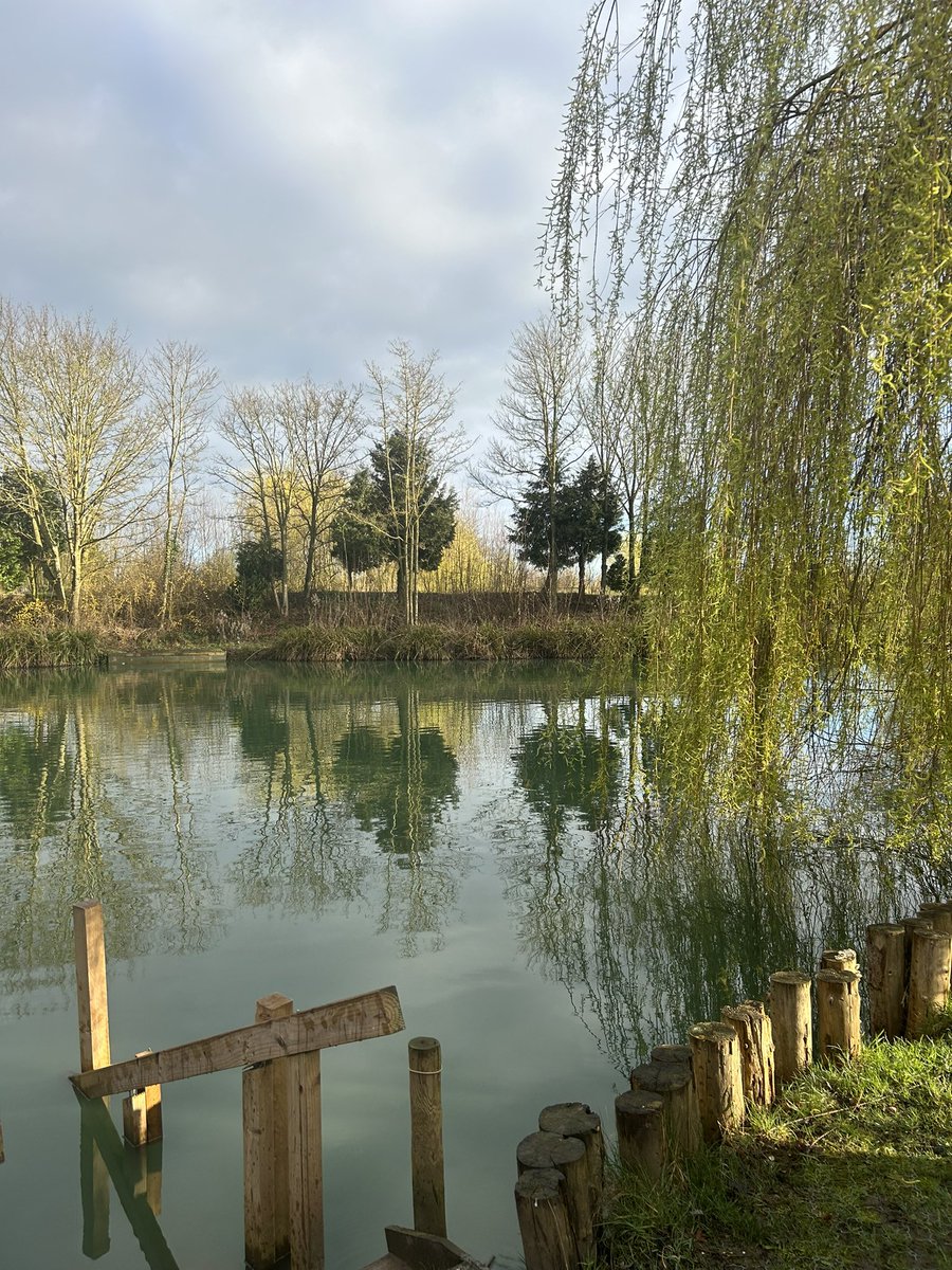 Kate Chartres tweet media