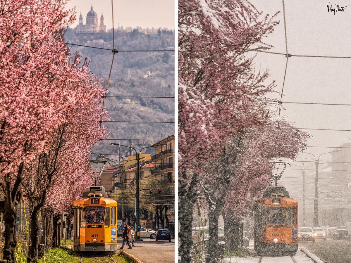 Valerio Minato tweet media