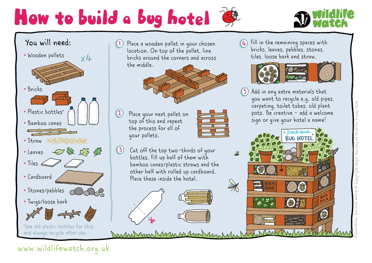 Even minibeasts need a holiday! 🐛🐞 🐜 Help them out and have a go at building a bug hotel this weekend! 👉 bit.ly/3OadNBL ~ Jack