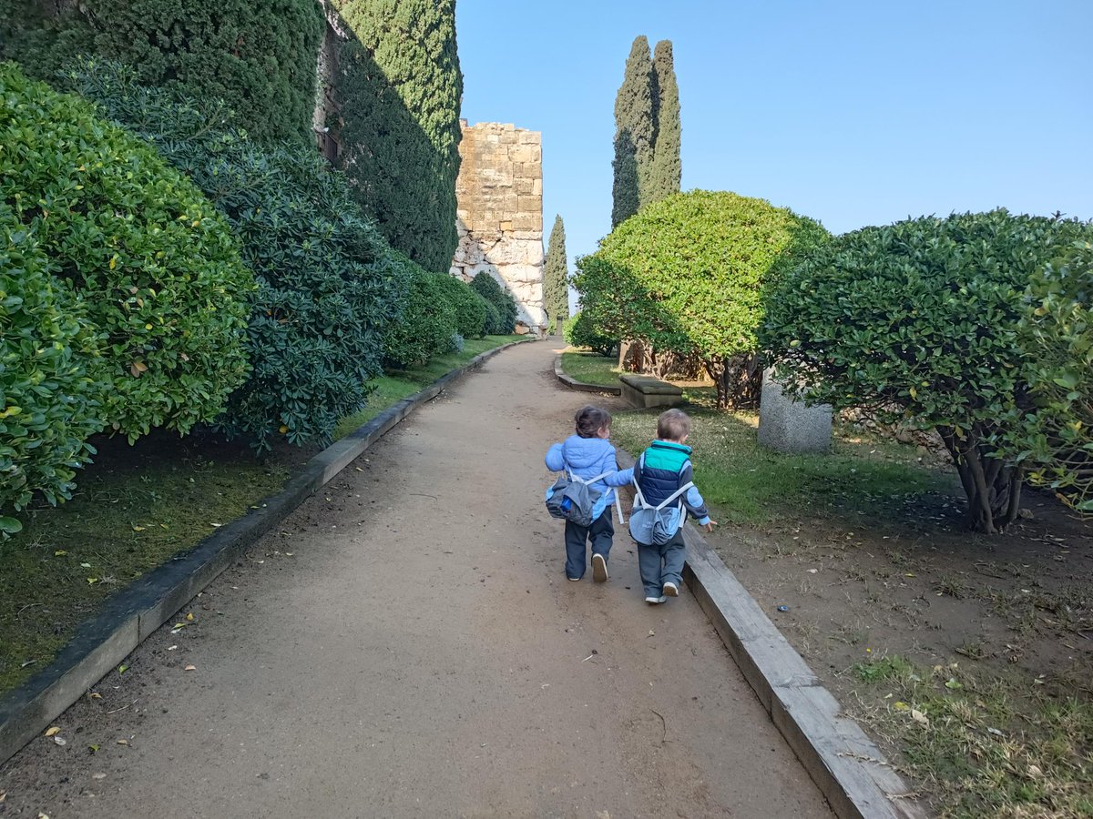 carmelitestgn's tweet photo. #ADMTWC #LLARC Les prunes, les cireres i els kiwis visitem les muralles en la setmana de l'entorn proper. #aprenemfentipensant #depetitsagransCarmelites #somifemescola https://t.co/237YAjZ7sZ