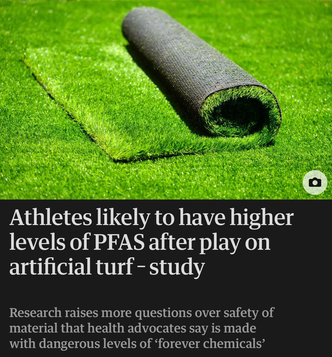 BenGoldsmith's tweet image. Installing a plastic lawn is a pretty good way of putting PFAS “forever” chemicals inside you. theguardian.com/environment/20…