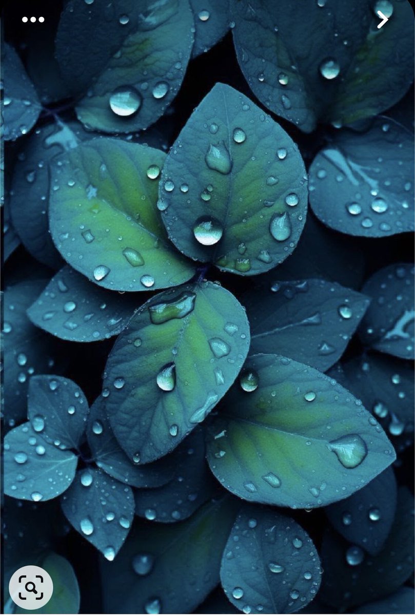 وأبحث عنك في روحي
دمي، دمعي، تراويحي
تركت شهادة الأشواق: 
نحيبي ثم تسبيحي
لغير الباب لم أركن
ففي المحراب تنقيحي

مريم الدهمانية