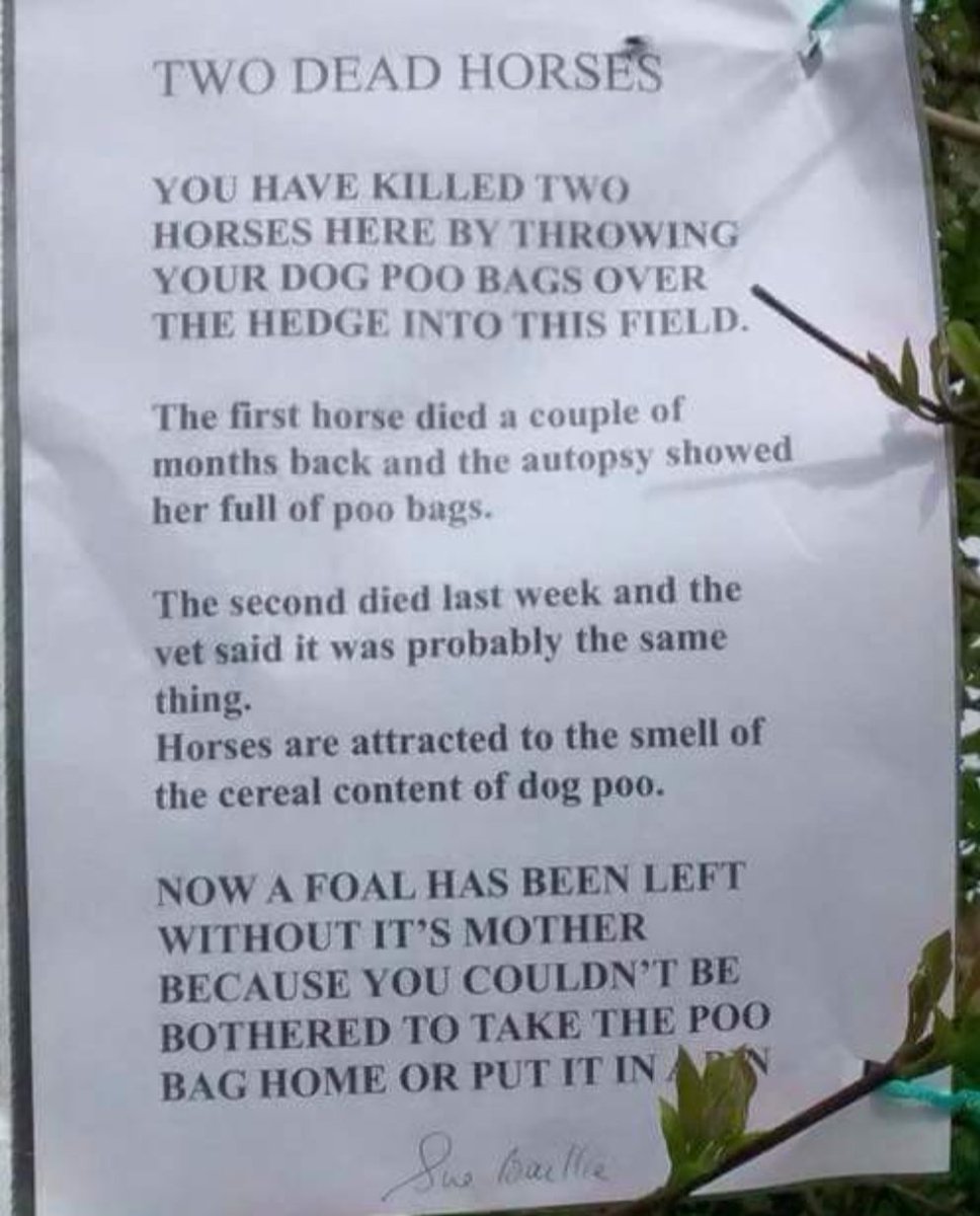 When will people start being responsible. #disgraceful  #dogs #poo #dogpoo