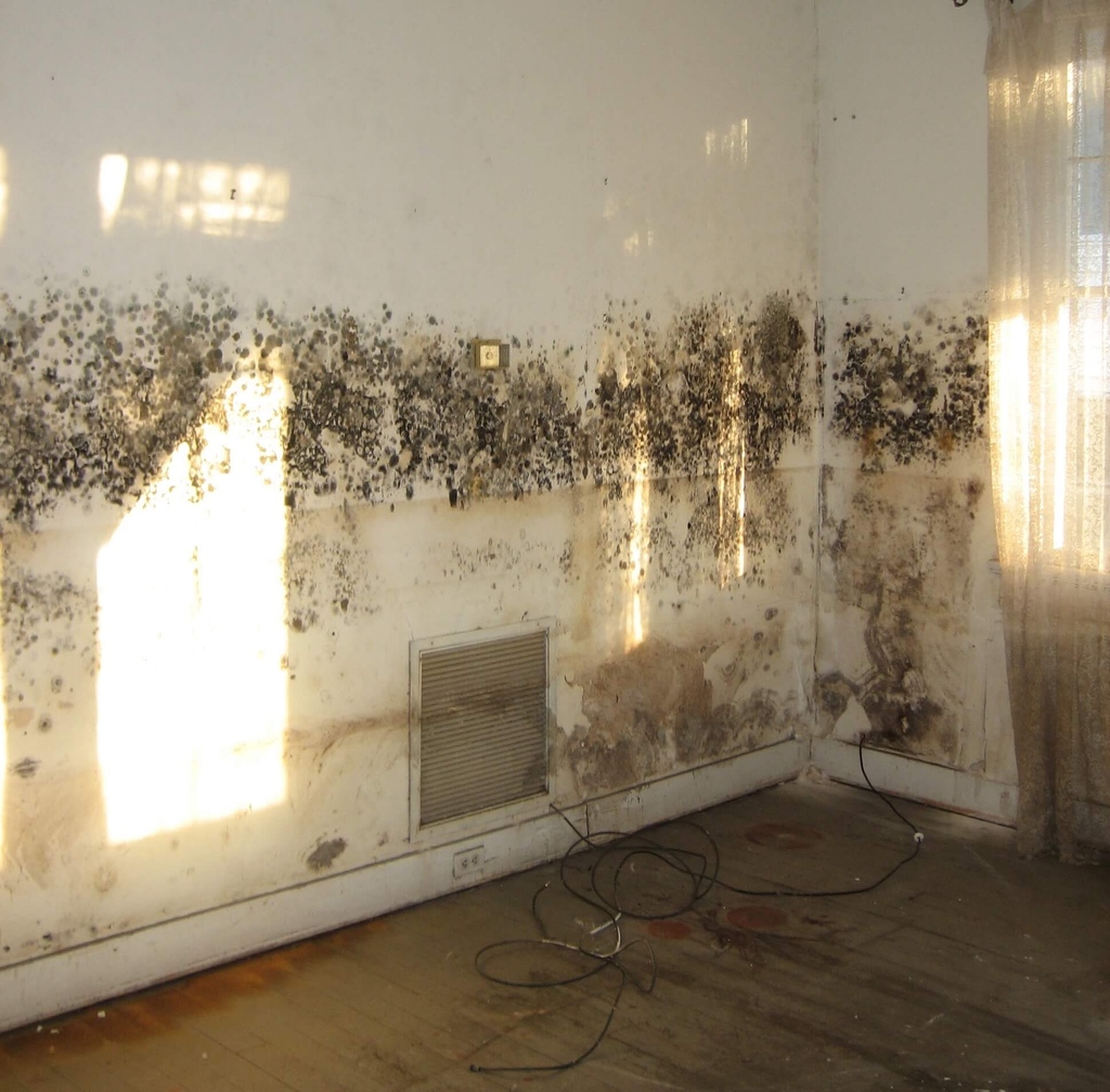 Permagard_UK's tweet image. Mould on interior walls looks unpleasant and can also be bad for your health. Depending on the amount of mould, it could also suggest a larger problem in your home. Find out how to remove it for good with our how-to guide: bit.ly/3i1mL5A

#mouldproblems #blackmould
