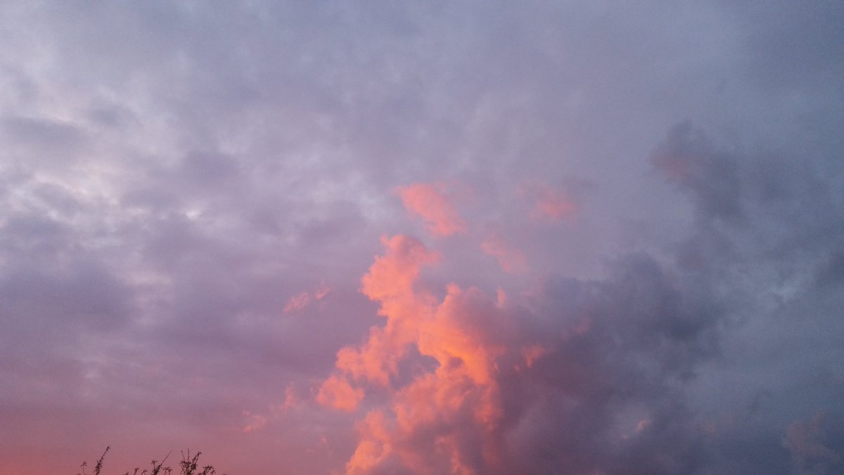 Bravo gospodine Milanovicu!!!