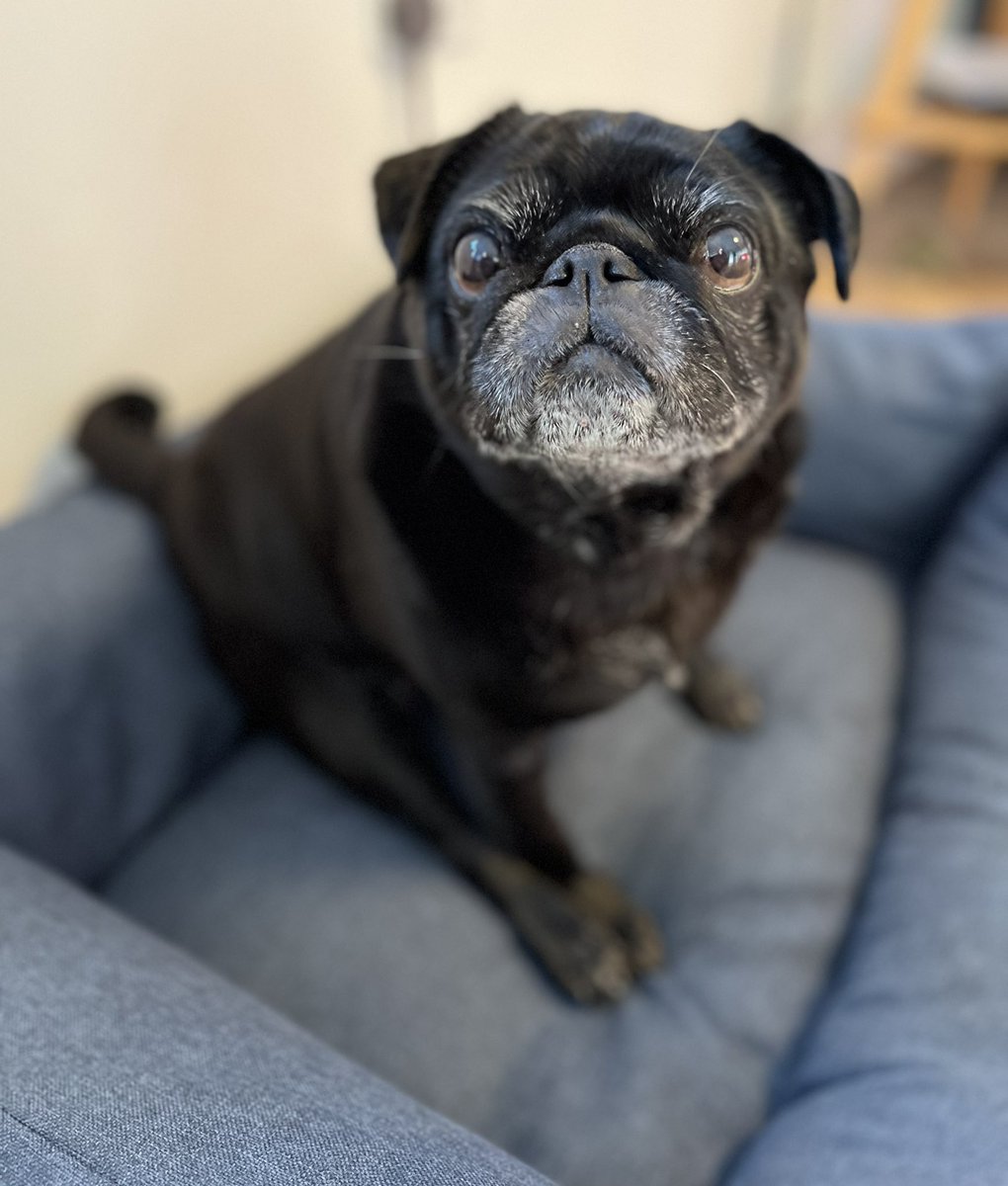 Nine years today! Wishing our Head of Customer Relationships at Rickitt Partnership, Ralph, a very Happy Birthday! Contact Ralph or this team on 01244 322 322 or ralph@rickittpartnership.co.uk on how we can sell your property! rickittpartnership.co.uk