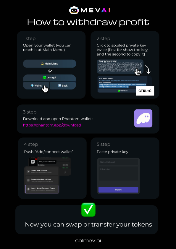 Solana Mev AI tweet media