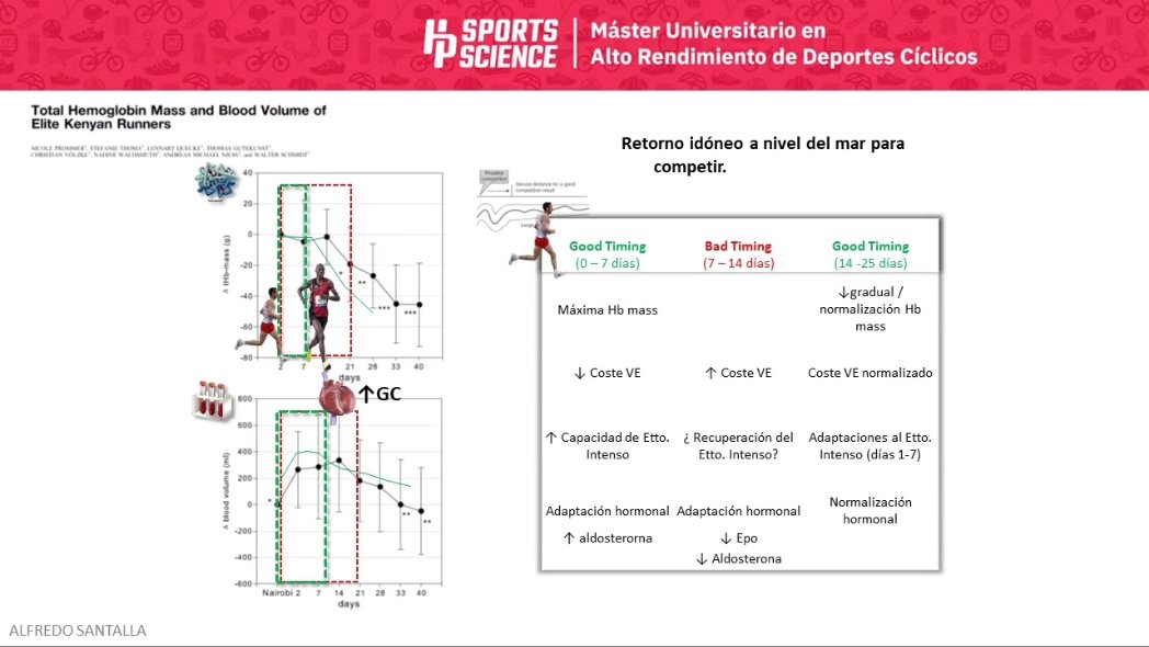 Máster Alto Rendimiento Deportes Cíclicos (@umu) tweet media