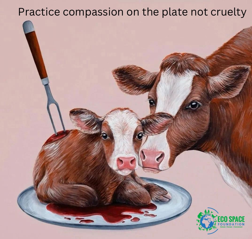 Practice compassion on the plate not cruelty, adopt a plant based cruel free lifestyle & end animal suffering #GoVegan #StopAnimalCruelty #RespectAnimalRights #PracticeKindness #AnimalVoice #AllLivesMatter #ChooseCompassion