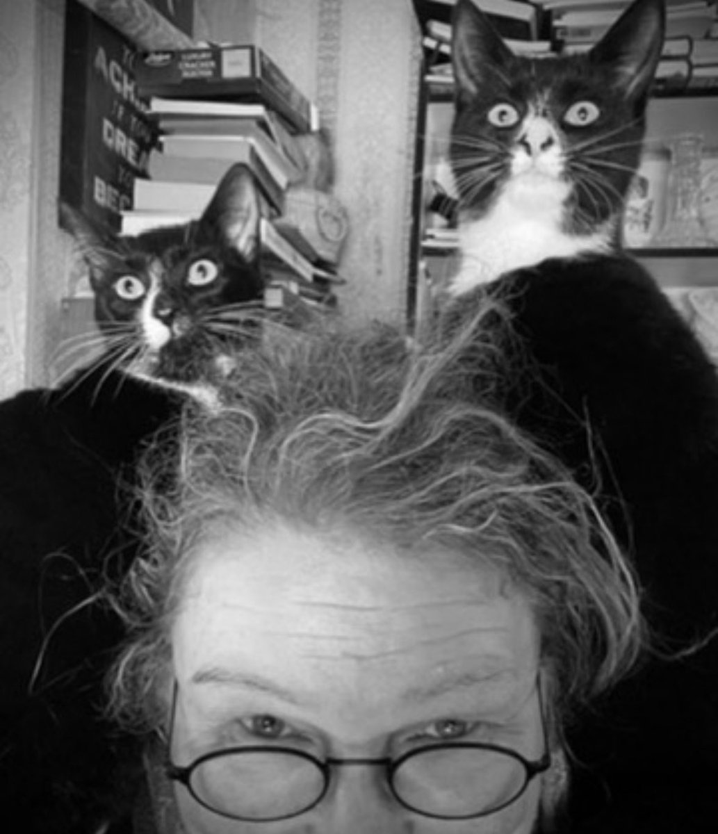 When my two orphaned, hand-reared cats hear a noise outside, they know where they'll be safe - even if my hair isn't! #StigandFoz #Caturday