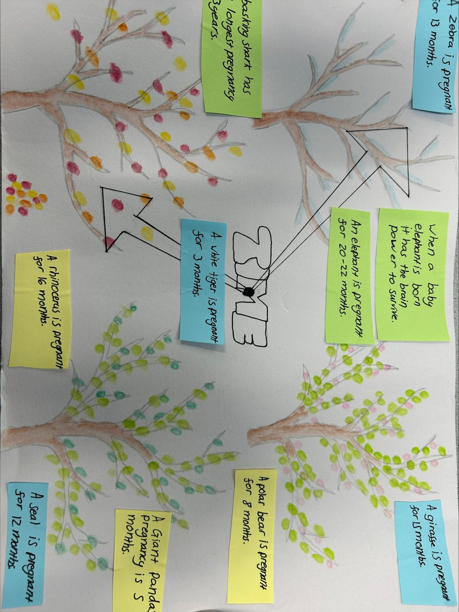 hartshillacad's tweet photo. Team Science are so impressed with all of the amazing posters we have had entered into our @scienceWeekUK competition this week! #HART #AwesomeScientists https://t.co/A73QKBmlbZ