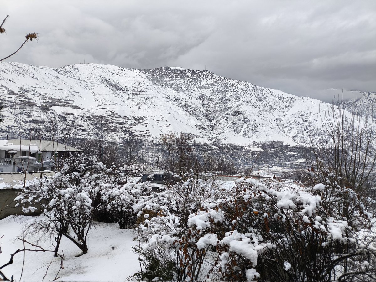 daniyalrahim5's tweet image. Show me a picture you took can be used as a wallpaper